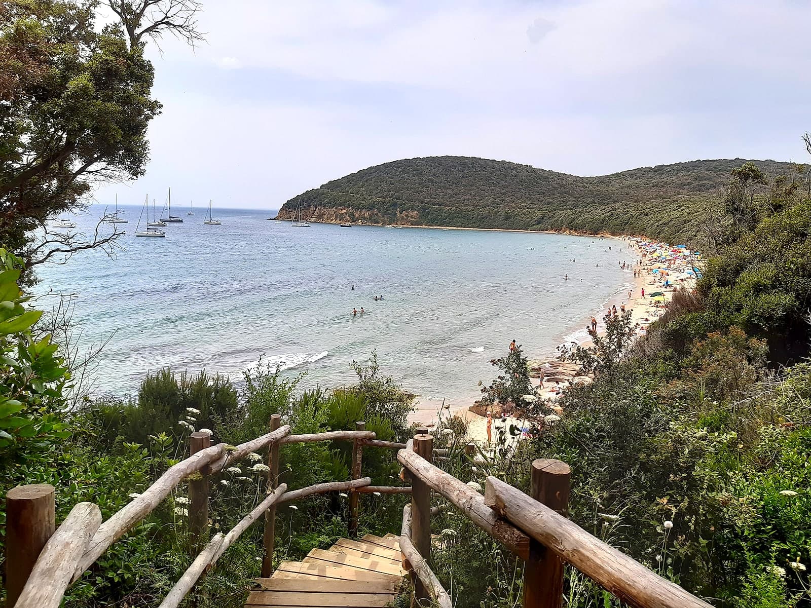 Cala Violina, sabbia chiara e mare turchese